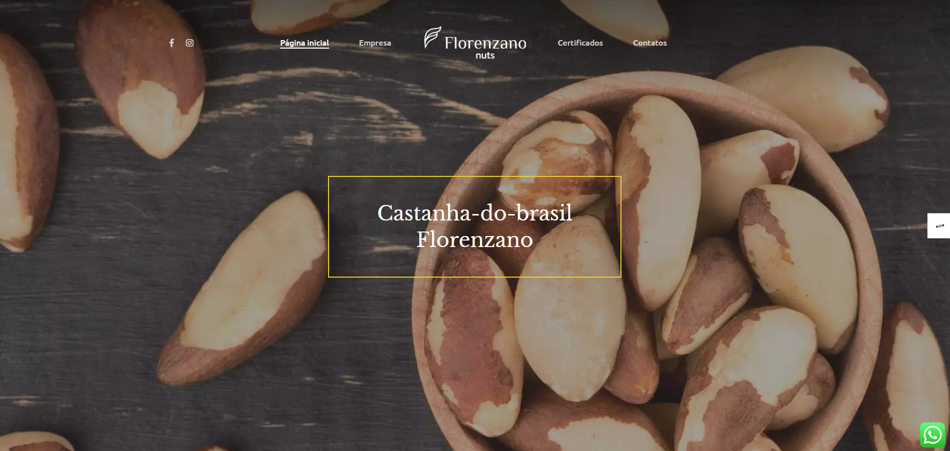 Florenzano Nuts: O Segredo por Trás da Melhor Castanha-do-Pará | Brazil nuts